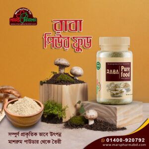 Oyster Mushroom Powder RABA Pure Food