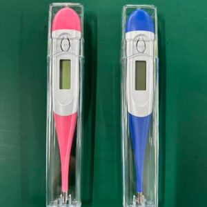 Digital Thermometer